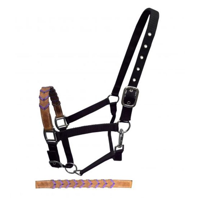 Showman Black Nylon Halter with Argentina Cow Leather Braided Nose #3