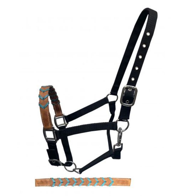 Showman Black Nylon Halter with Argentina Cow Leather Braided Nose #4