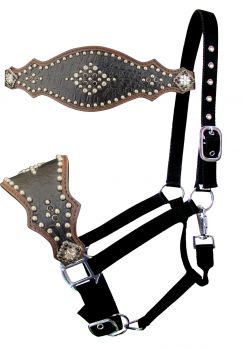 Showman Nylon bronc halter with black gator skin noseband