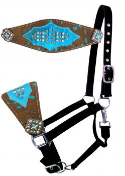 Showman Nylon bronc halter with acid wash hair-on cowhide noseband with teal accent, and conchos