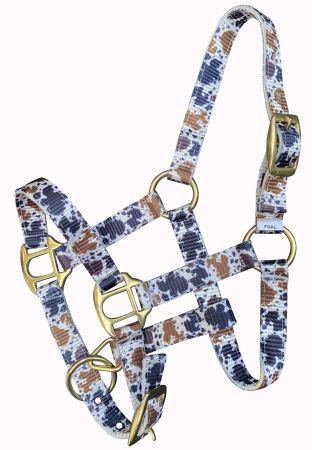 Showman Premium nylon Cowhide Print halter with brass hardware. FOAL&#47;MINI SIZE