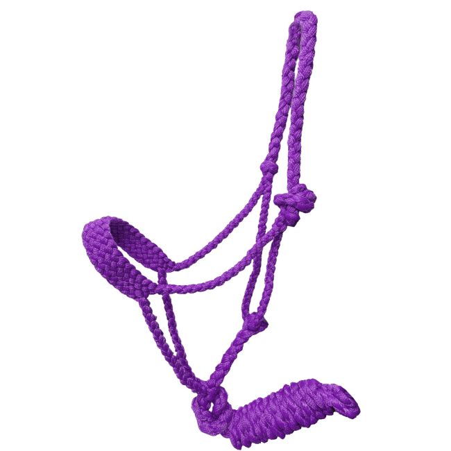 Showman Braided Mule Tape Pony Halter #4