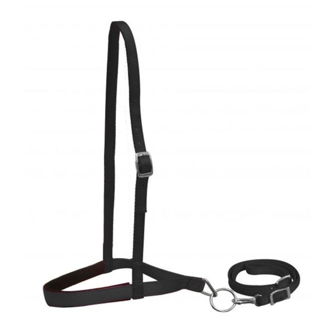 Showman Premium Nylon Noseband and Tiedown #2