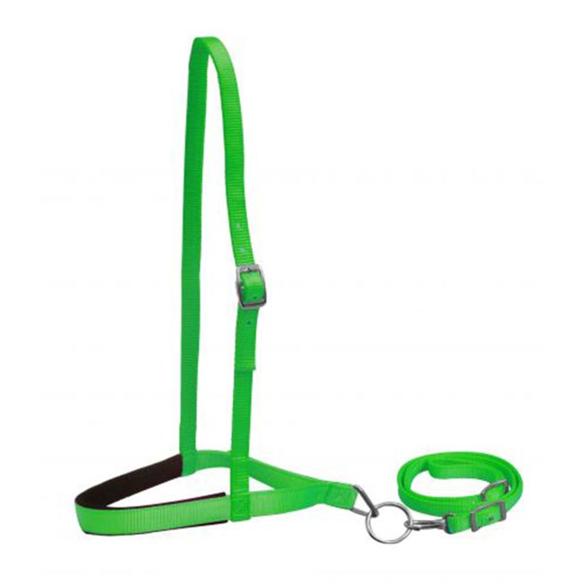 Showman Premium Nylon Noseband and Tiedown #4
