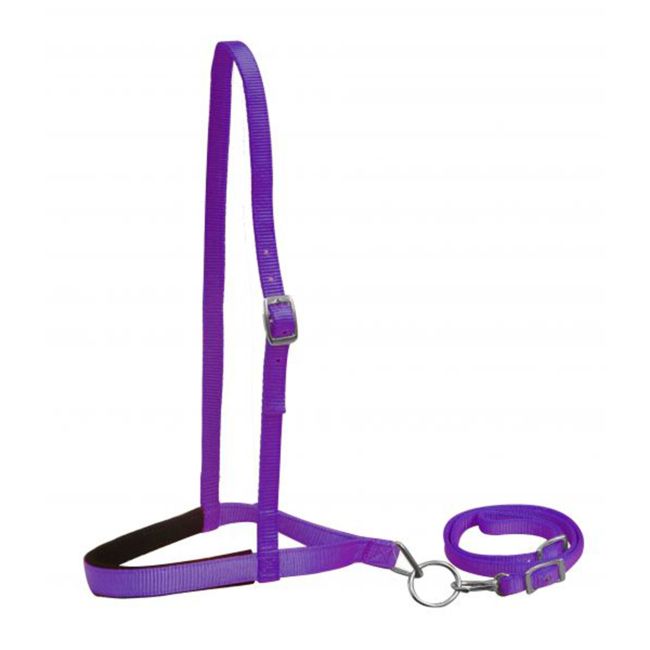 Showman Premium Nylon Noseband and Tiedown #6
