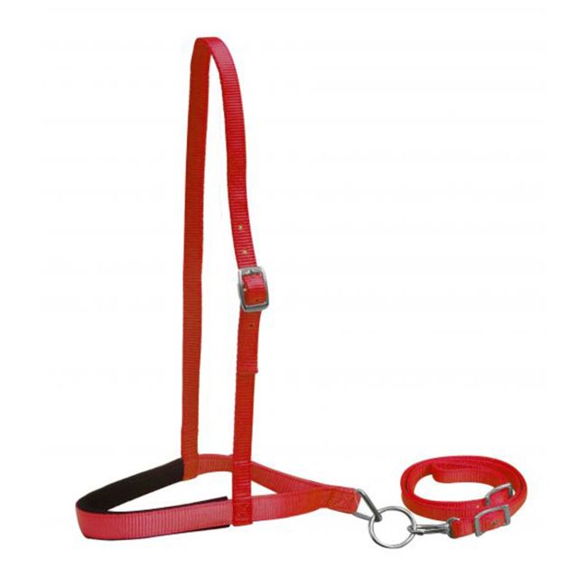 Showman Premium Nylon Noseband and Tiedown #7