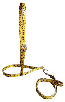 Showman Premium nylon noseband and tiedown with Sunflower Print