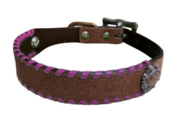 Showman Genuine leather 1" dog collar rawhide lacing #3