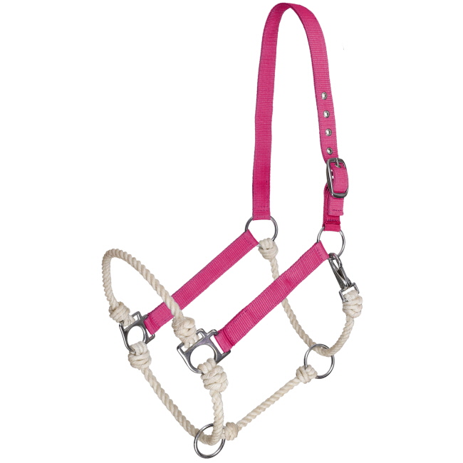 Showman Nylon Hybrid Halter #3