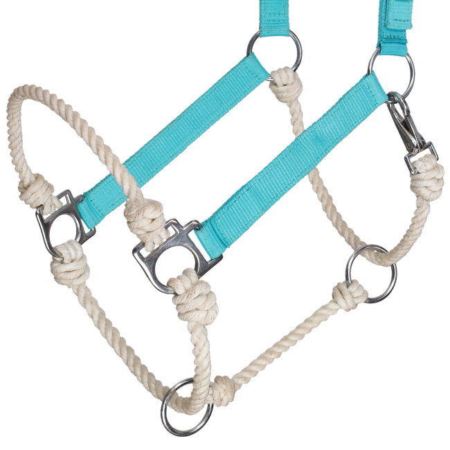 Showman Nylon Hybrid Halter #6