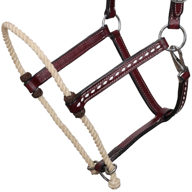 Showman Leather Buckstitch Hybrid Halter #2