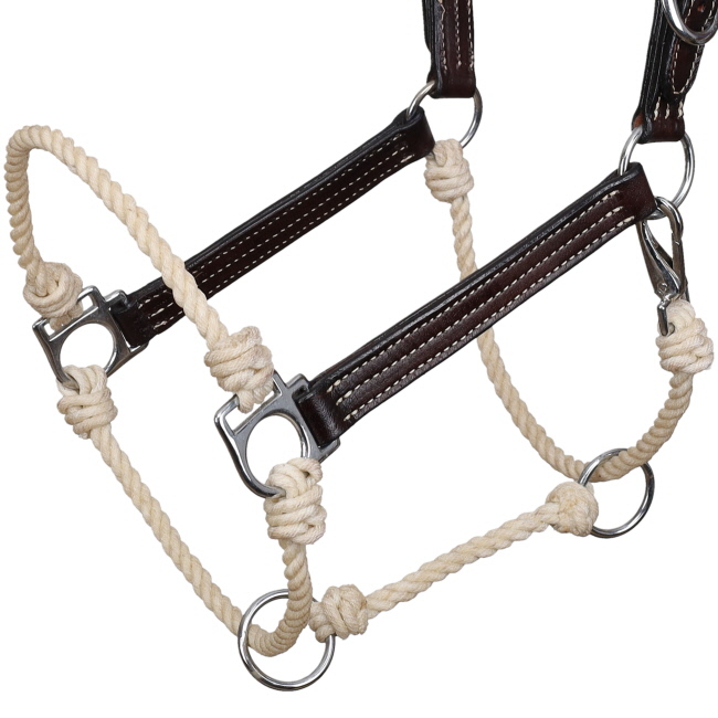 Showman Leather Stitched Hybrid Halter #2