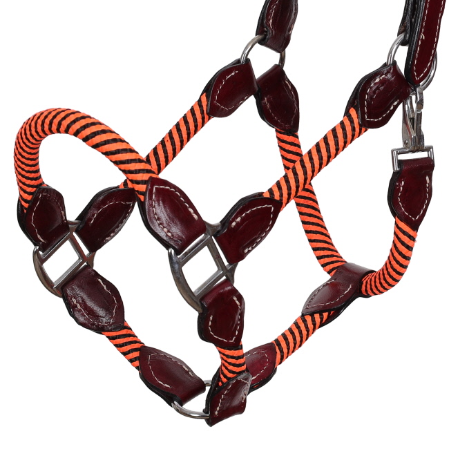 Showman Orange Poly Rope Leather Halter #2