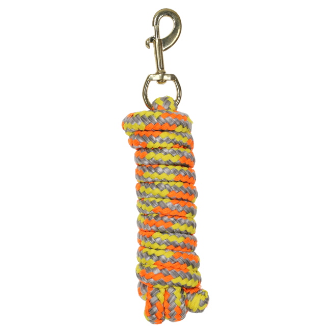 Assorted Neon 9 Ft. Lead Rope #6