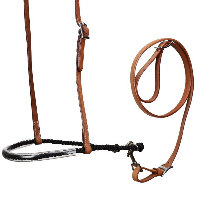 Showman Leather Tie Down with Black Lariat Noseband #2