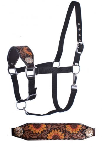 Showman  Adjustable nylon bronc halter with hand painted sunflower nose band