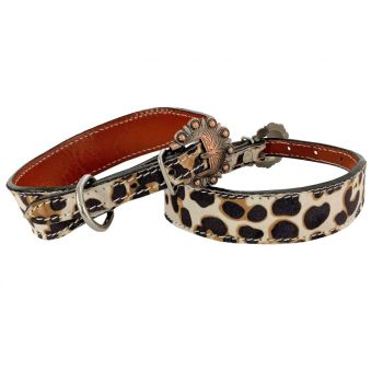 Showman Couture Leopard Print Genuine Leather Dog Collar