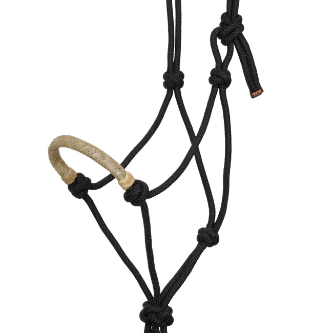 Showman Cowboy Knot Halter with Rawhide Nose - Natural #2
