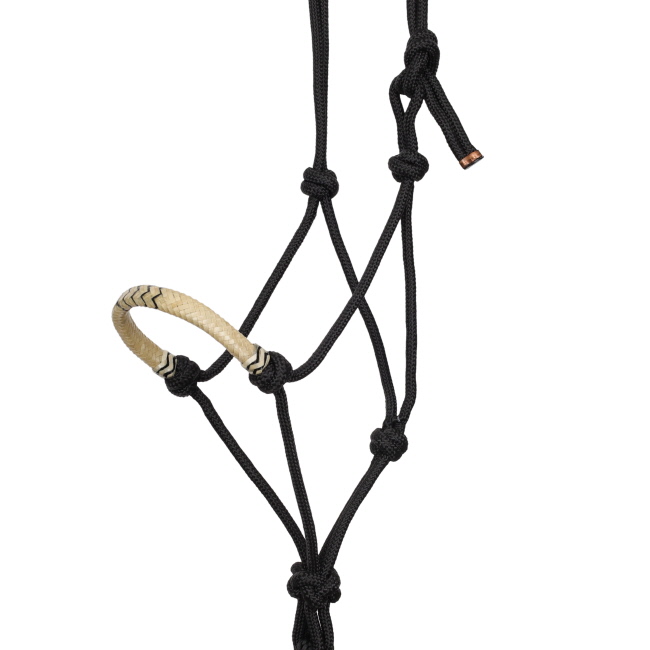 Showman Cowboy Knot Halter with Rawhide Nose - White & Black #2