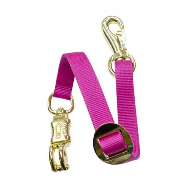 1" x 24" Fully Adjustable Flat Nylon Trailer Tie #5