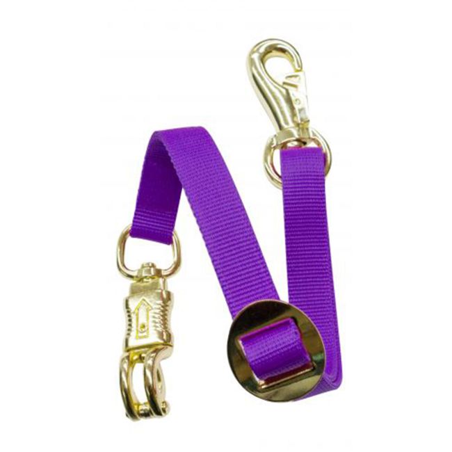 1" x 24" Fully Adjustable Flat Nylon Trailer Tie #6