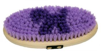 Showman Body Brush with Horse Decal Bristles #5