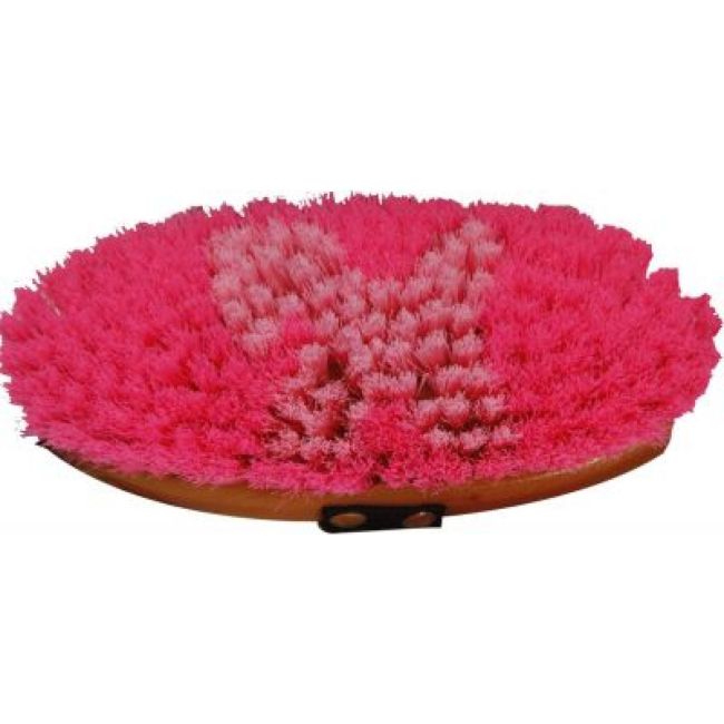 Showman Body Brush with Horse Decal Bristles #4