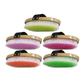 Soft Bristle Oval English Brush - Color Pack of 10