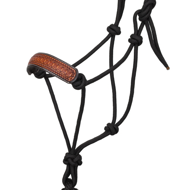 Showman Mesa Stamp Cowboy Knot Halter with Lead #2