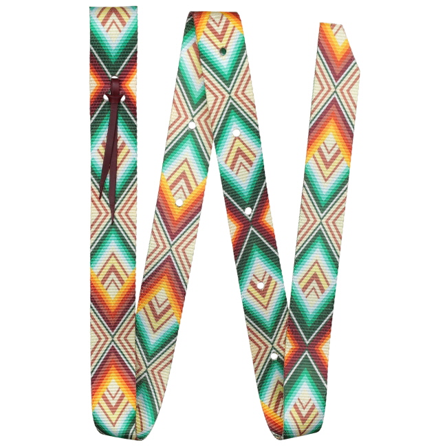 Showman Canyon Sunrise Nylon Tie Strap & Off Billet Set #3