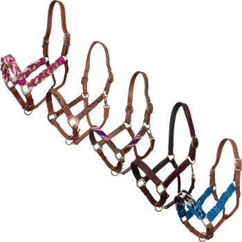 Showman Leather Halters