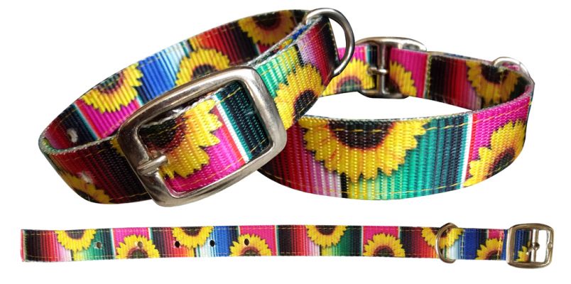 Showman Couture Serape &amp; Sunflower designed nylon dog collar