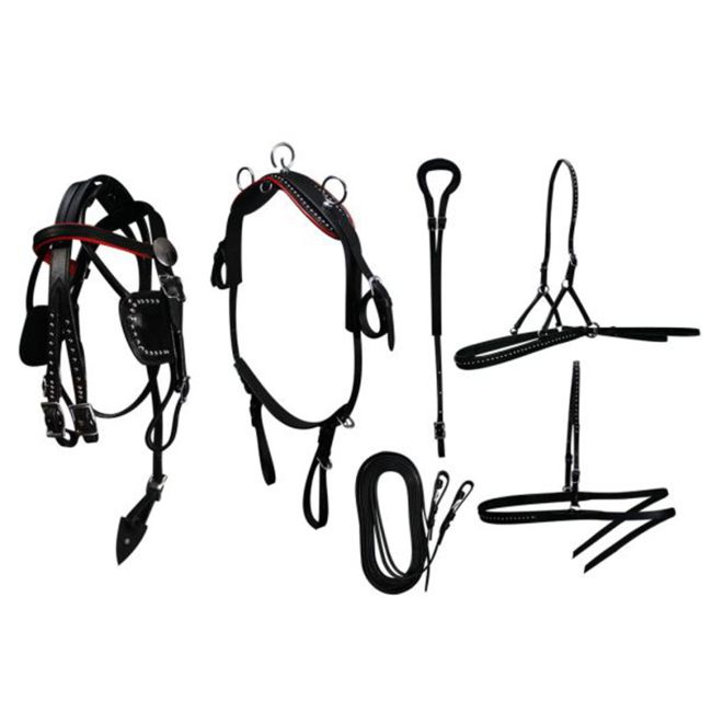 Mini Horse &#47; Small Pony Size Leather Show Harness Set