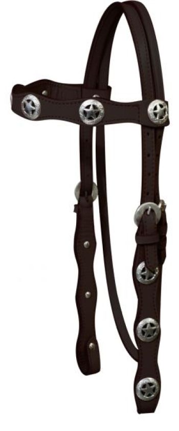 Texas Star headstall with reins #2