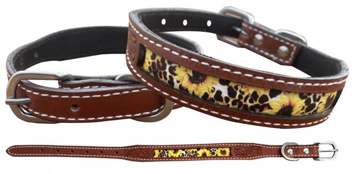 Showman Sunflower and Cheetah Print Leather dog collar