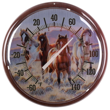 Country Side Open Range Metal Thermometer