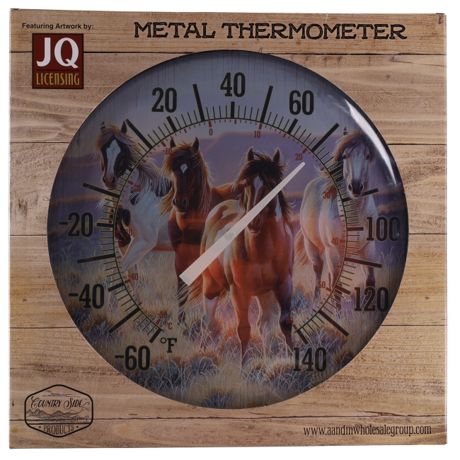 Country Side Open Range Metal Thermometer #2
