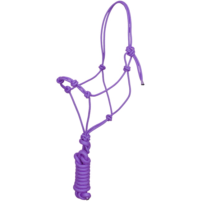Four Knot Training Cowboy Knot Halter with 10' Removeable Lead #6