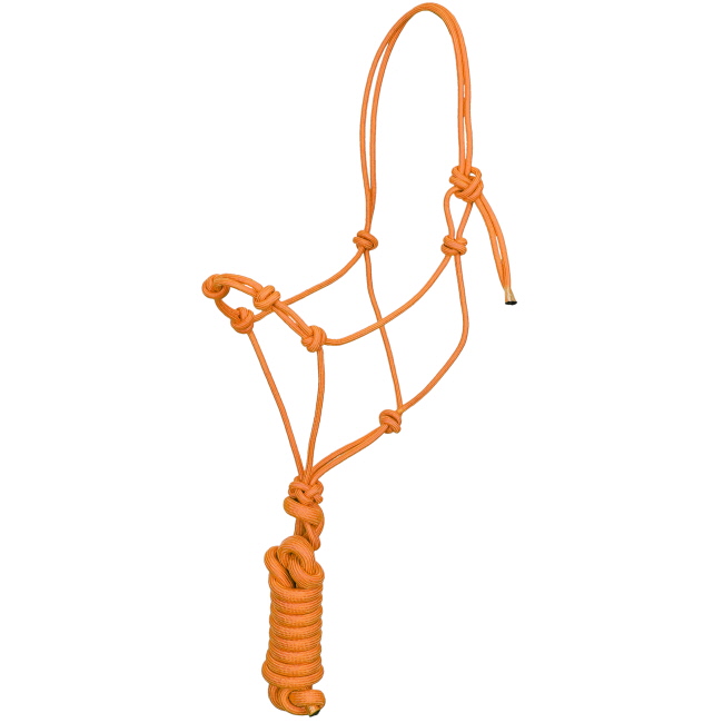 Four Knot Training Cowboy Knot Halter with 10' Removeable Lead #13