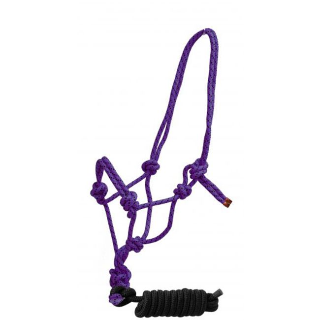 Braided Nylon Cowboy Knot Rope Halter with Removable 7.5' Lead #4