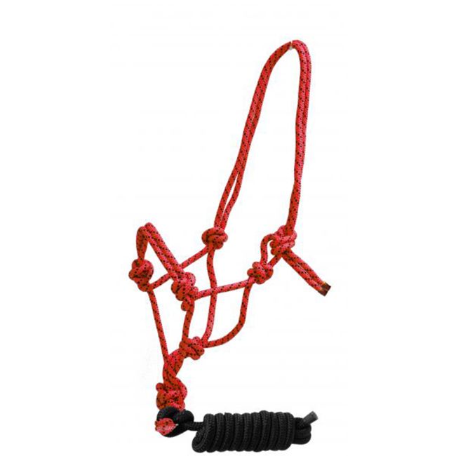 Braided Nylon Cowboy Knot Rope Halter with Removable 7.5' Lead #6