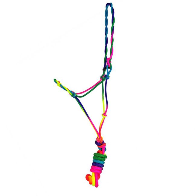 MD&#47;LG Pony Size Ombre Rainbow Cowboy Knot Halter with Lead