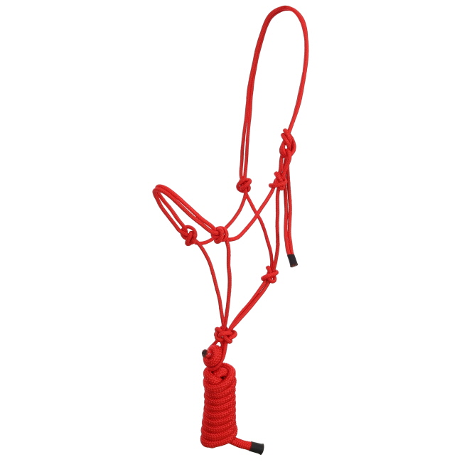 Showman Assorted Cowboy Knot Halter with 8 Ft Lead #6