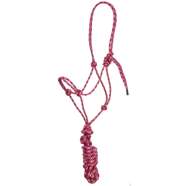 Confetti Cowboy Knot Halter with Lead #6