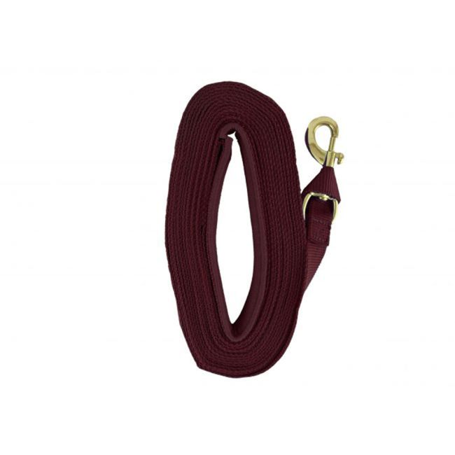 Heavy Duty 25' Web Lunge Line with Padded Handle #3