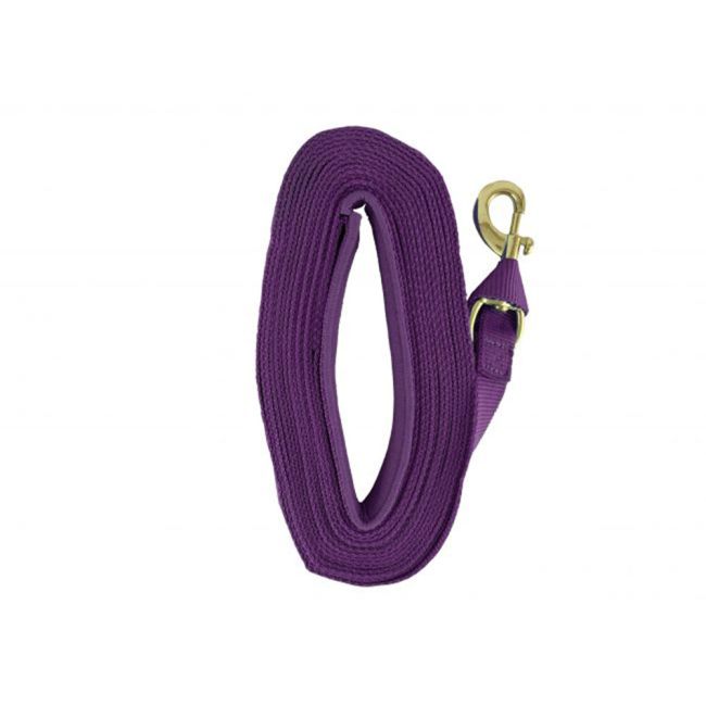 Heavy Duty 25' Web Lunge Line with Padded Handle #4