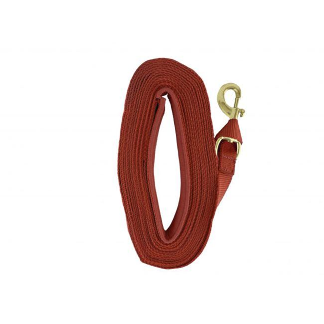 Heavy Duty 25' Web Lunge Line with Padded Handle #6
