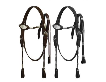 Cob size Poco headstall with reins