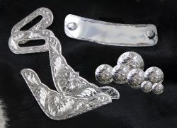 12 piece engraved silver trim kit