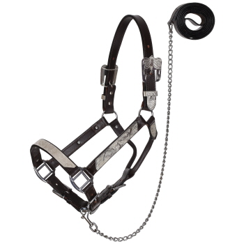 Showman Silver Bar Leather Show Halter with Lead - Average